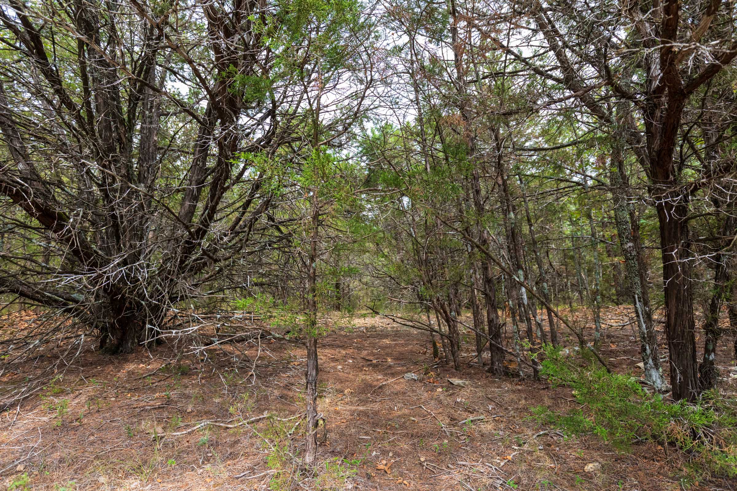 Tract 24 at Heritage Bend in Taney County, Missouri