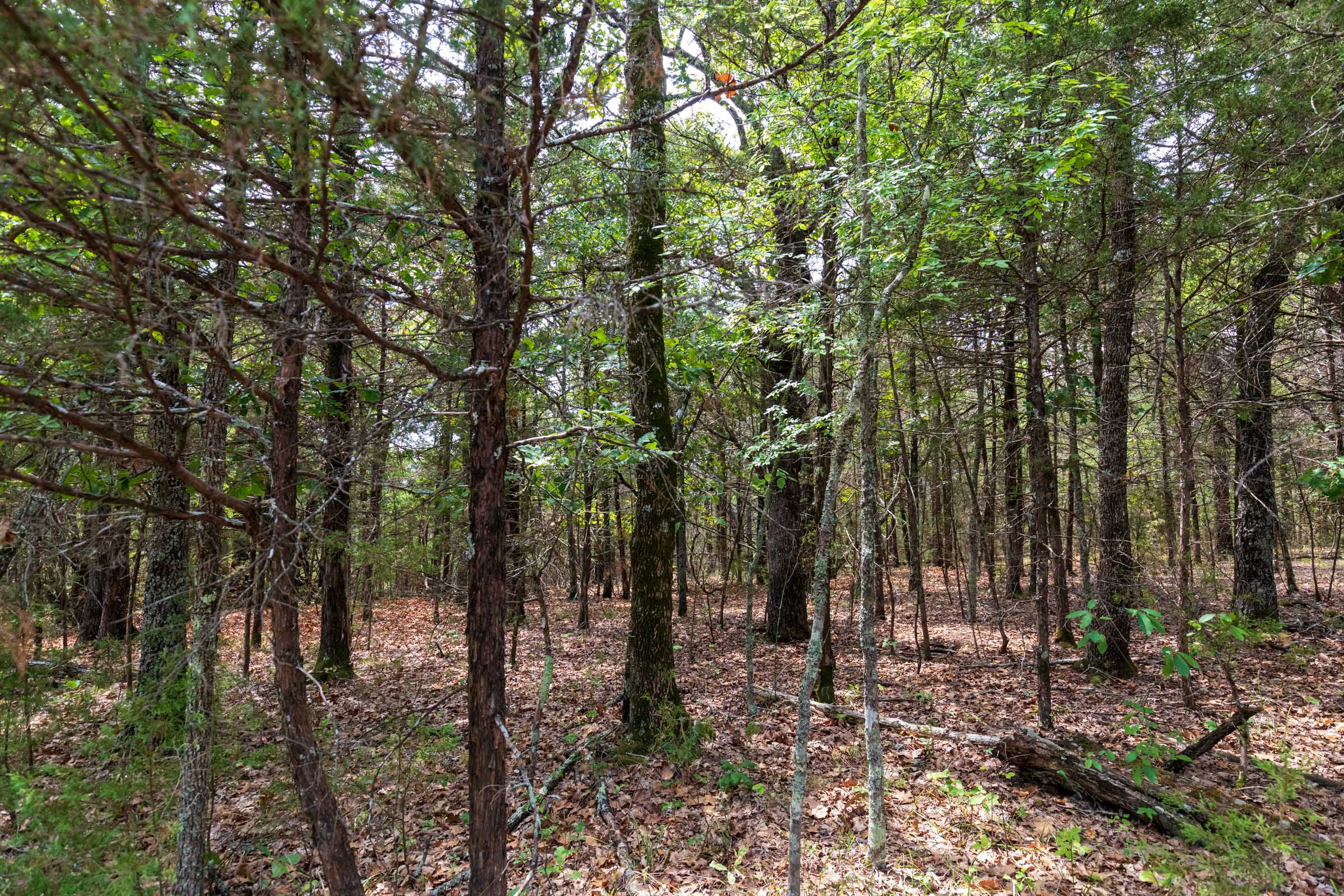 Tract 26 at Heritage Bend in Taney County, Missouri