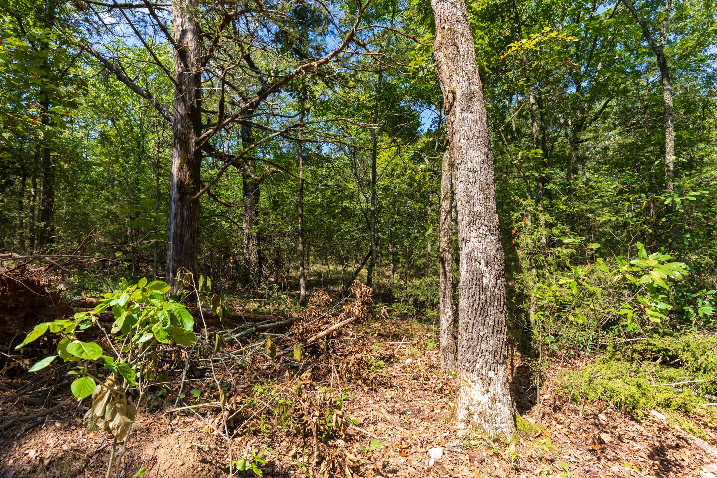 Tract 30 at Heritage Bend in Taney County, Missouri