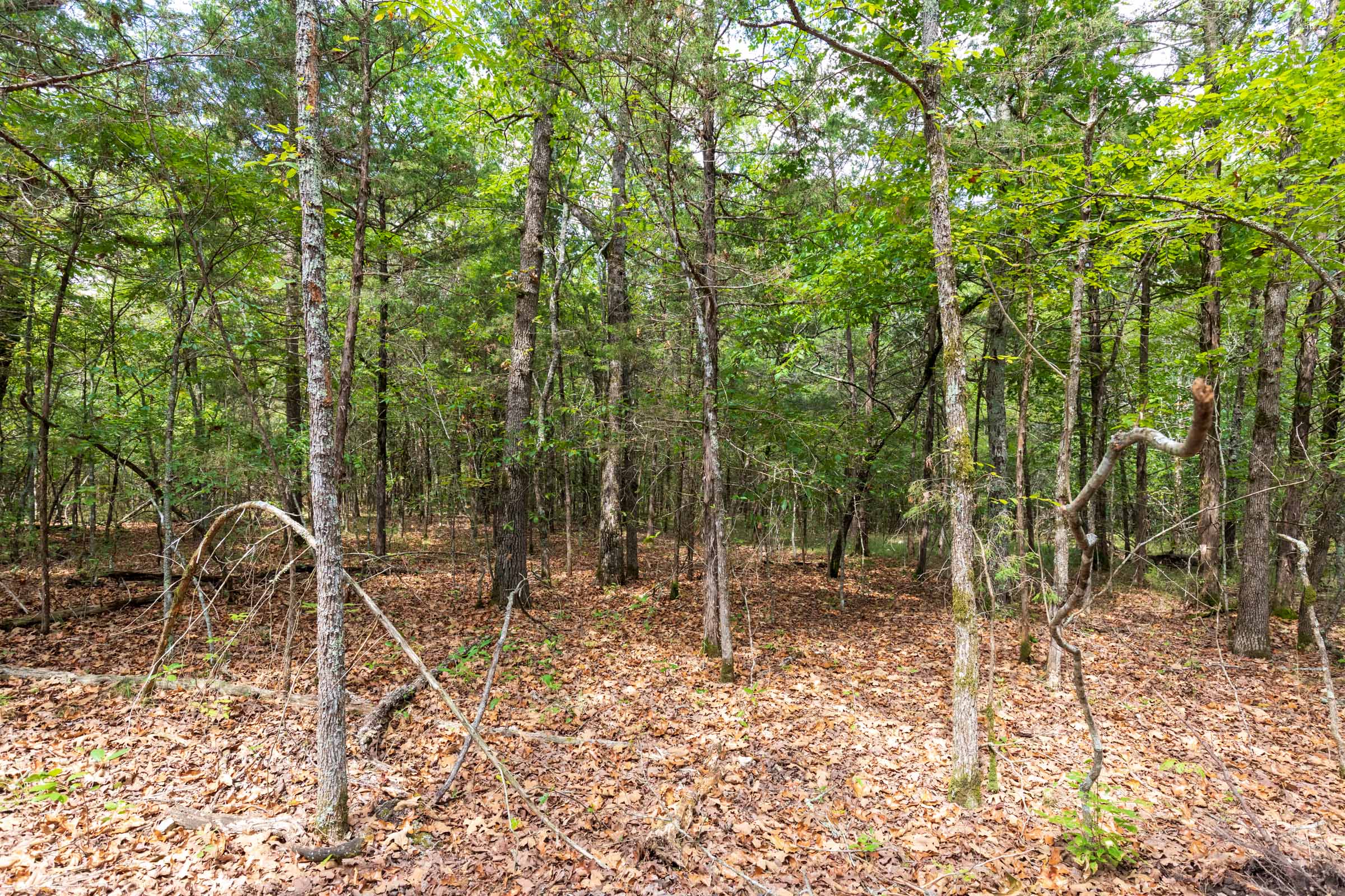Tract 34 at Heritage Bend in Taney County, Missouri