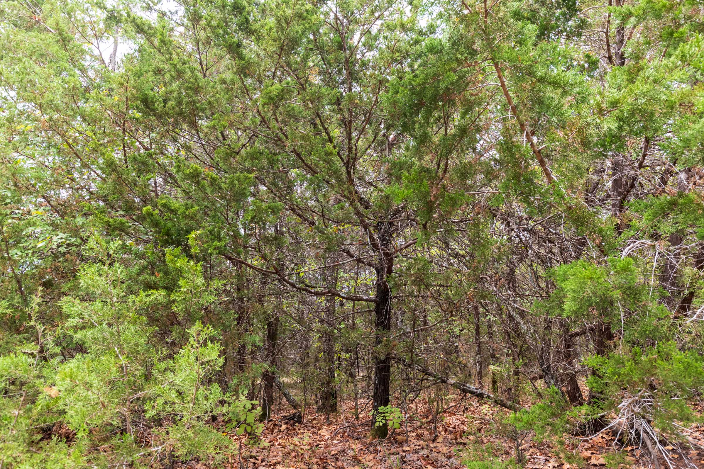 Tract 35 at Heritage Bend in Taney County, Missouri