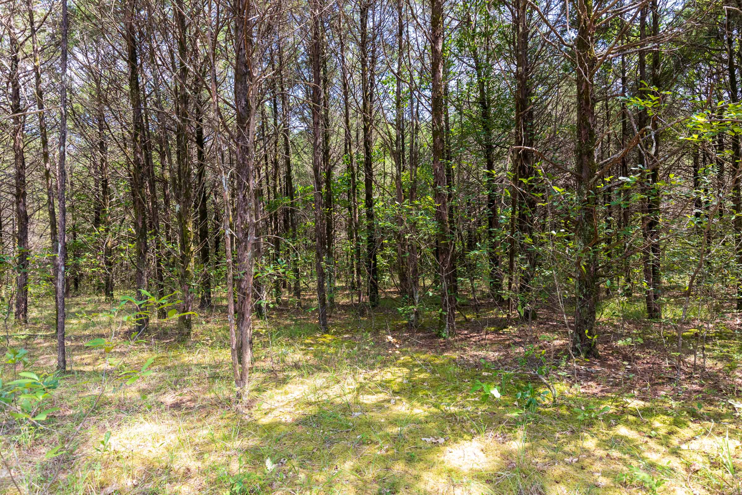 Tract 40 at Heritage Bend in Taney County, Missouri
