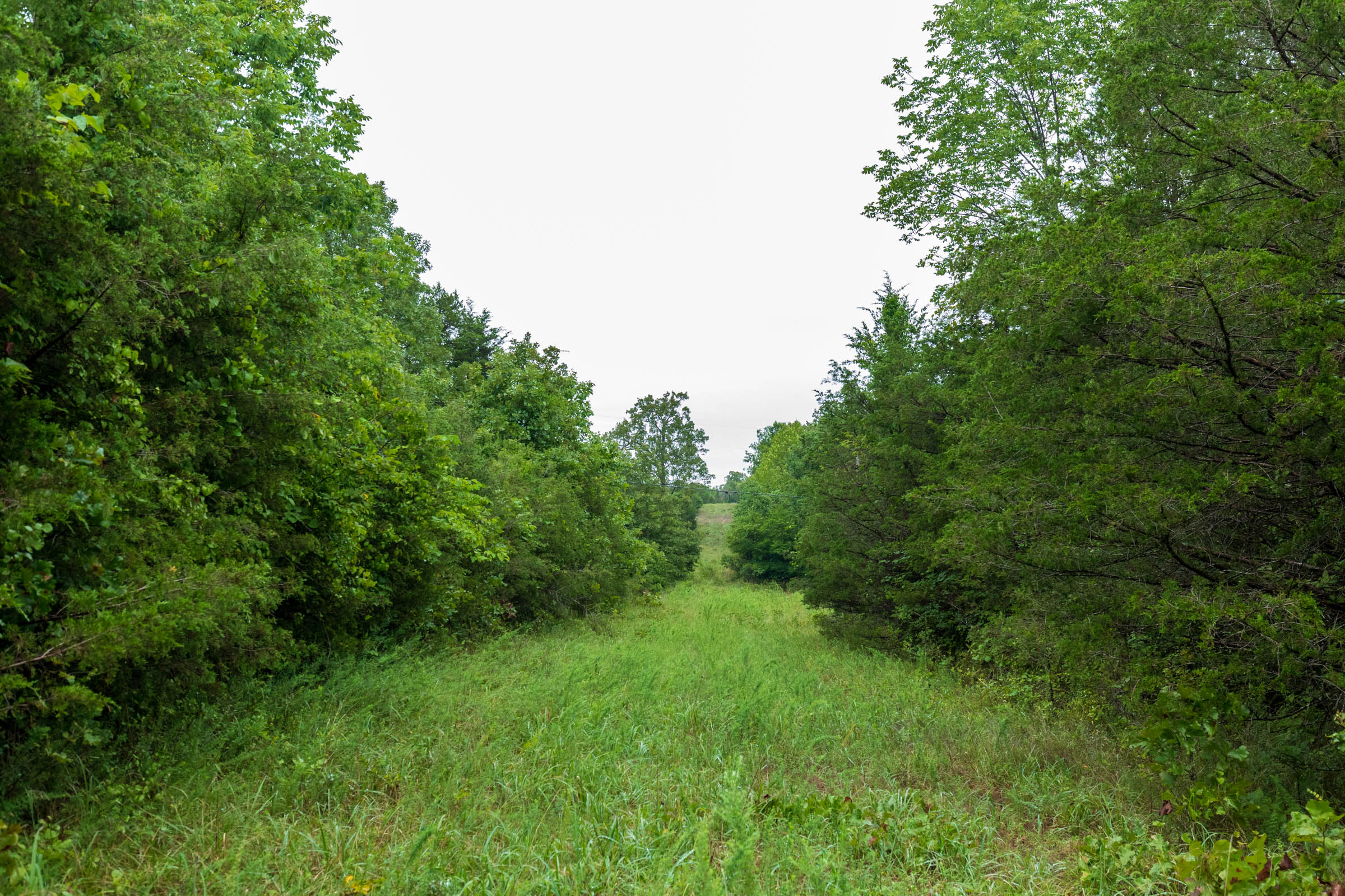 Tract 42 at Heritage Bend in Taney County, Missouri