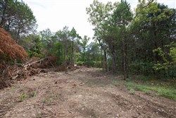 property photo for Wild Wood Tract 18, 10.02 acres for sale in Taney County, Missouri