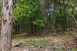 property photo for Wild Wood Tract 18, 10.02 acres for sale in Taney County, Missouri