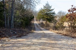 property photo for Forest Hill Tract 13, 5.35 acres for sale in Texas County, Missouri
