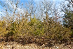 property photo for Forest Hill Tract 13, 5.35 acres for sale in Texas County, Missouri