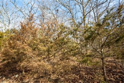 property photo for Forest Hill Tract 13, 5.35 acres for sale in Texas County, Missouri