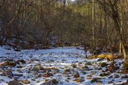 property photo for Sleepy Hollow Phase I Tract 11, 7.81 acres for sale in Texas County, Missouri