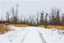 property photo for Sleepy Hollow Phase I Tract 11, 7.81 acres for sale in Texas County, Missouri