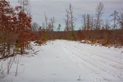 property photo for Sleepy Hollow Phase I Tract 15, 6.72 acres for sale in Texas County, Missouri