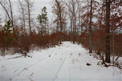 property photo for Sleepy Hollow Phase I Tract 16, 6.52 acres for sale in Texas County, Missouri