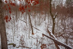 property photo for Sleepy Hollow Phase I Tract 16, 6.52 acres for sale in Texas County, Missouri