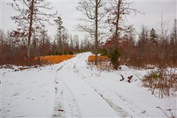 property photo for Sleepy Hollow Phase I Tract 16, 6.52 acres for sale in Texas County, Missouri