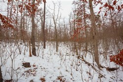 property photo for Sleepy Hollow Phase I Tract 16, 6.52 acres for sale in Texas County, Missouri