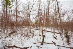 property photo for Sleepy Hollow Phase I Tract 16, 6.52 acres for sale in Texas County, Missouri