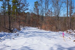 property photo for Sleepy Hollow Phase I Tract 18, 7.31 acres for sale in Texas County, Missouri