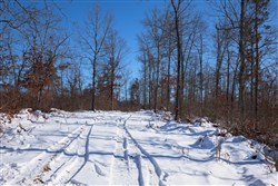 property photo for Sleepy Hollow Phase I Tract 18, 7.31 acres for sale in Texas County, Missouri