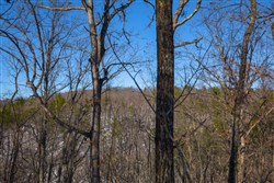 property photo for Sleepy Hollow Phase I Tract 18, 7.31 acres for sale in Texas County, Missouri