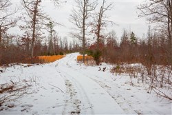 property photo for Sleepy Hollow Phase I Tract 21, 7.59 acres for sale in Texas County, Missouri