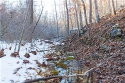 property photo for Sleepy Hollow Phase I Tract 21, 7.59 acres for sale in Texas County, Missouri