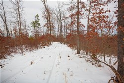 property photo for Sleepy Hollow Phase I Tract 21, 7.59 acres for sale in Texas County, Missouri