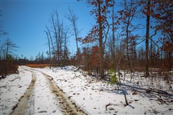 property photo for Sleepy Hollow Phase I Tract 26, 6.61 acres for sale in Texas County, Missouri
