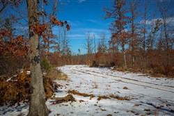 property photo for Sleepy Hollow Phase I Tract 26, 6.61 acres for sale in Texas County, Missouri