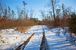 property photo for Sleepy Hollow Phase I Tract 29, 8.73 acres for sale in Texas County, Missouri