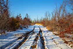 property photo for Sleepy Hollow Phase I Tract 29, 8.73 acres for sale in Texas County, Missouri