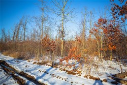 property photo for Sleepy Hollow Phase I Tract 29, 8.73 acres for sale in Texas County, Missouri