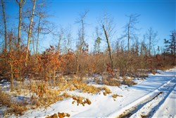 property photo for Sleepy Hollow Phase I Tract 29, 8.73 acres for sale in Texas County, Missouri