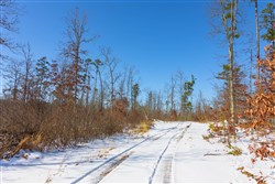 property photo for Sleepy Hollow Phase I Tract 3, 6.03 acres for sale in Texas County, Missouri