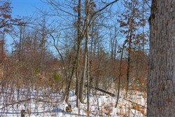 property photo for Sleepy Hollow Phase I Tract 3, 6.03 acres for sale in Texas County, Missouri