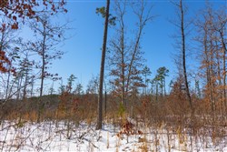 property photo for Sleepy Hollow Phase I Tract 3, 6.03 acres for sale in Texas County, Missouri