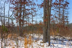 property photo for Sleepy Hollow Phase I Tract 3, 6.03 acres for sale in Texas County, Missouri