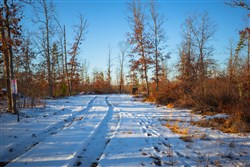 property photo for Sleepy Hollow Phase I Tract 36, 7.32 acres for sale in Texas County, Missouri