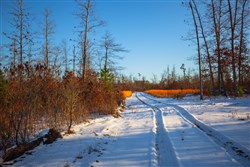 property photo for Sleepy Hollow Phase I Tract 36, 7.32 acres for sale in Texas County, Missouri