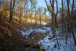 property photo for Sleepy Hollow Phase I Tract 36, 7.32 acres for sale in Texas County, Missouri