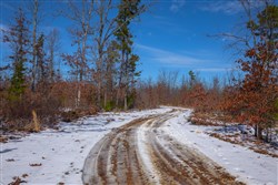 property photo for Sleepy Hollow Phase I Tract 38, 6.66 acres for sale in Texas County, Missouri