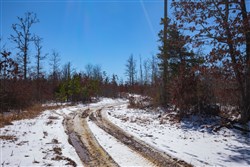 property photo for Sleepy Hollow Phase I Tract 38, 6.66 acres for sale in Texas County, Missouri