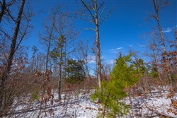 property photo for Sleepy Hollow Phase I Tract 38, 6.66 acres for sale in Texas County, Missouri