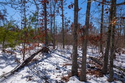 property photo for Sleepy Hollow Phase I Tract 38, 6.66 acres for sale in Texas County, Missouri