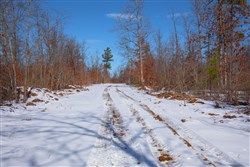 property photo for Sleepy Hollow Phase I Tract 39, 8.24 acres for sale in Texas County, Missouri
