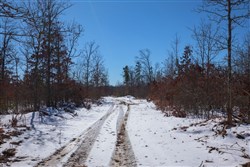 property photo for Sleepy Hollow Phase I Tract 39, 8.24 acres for sale in Texas County, Missouri