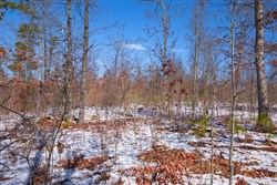 property photo for Sleepy Hollow Phase I Tract 39, 8.24 acres for sale in Texas County, Missouri