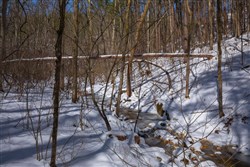 property photo for Sleepy Hollow Phase I Tract 39, 8.24 acres for sale in Texas County, Missouri