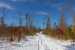 property photo for Sleepy Hollow Phase I Tract 4, 5.4 acres for sale in Texas County, Missouri
