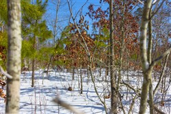 property photo for Sleepy Hollow Phase I Tract 4, 5.4 acres for sale in Texas County, Missouri