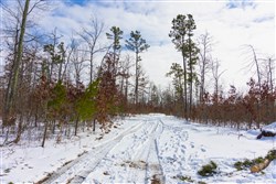 property photo for Sleepy Hollow Phase I Tract 4, 5.4 acres for sale in Texas County, Missouri